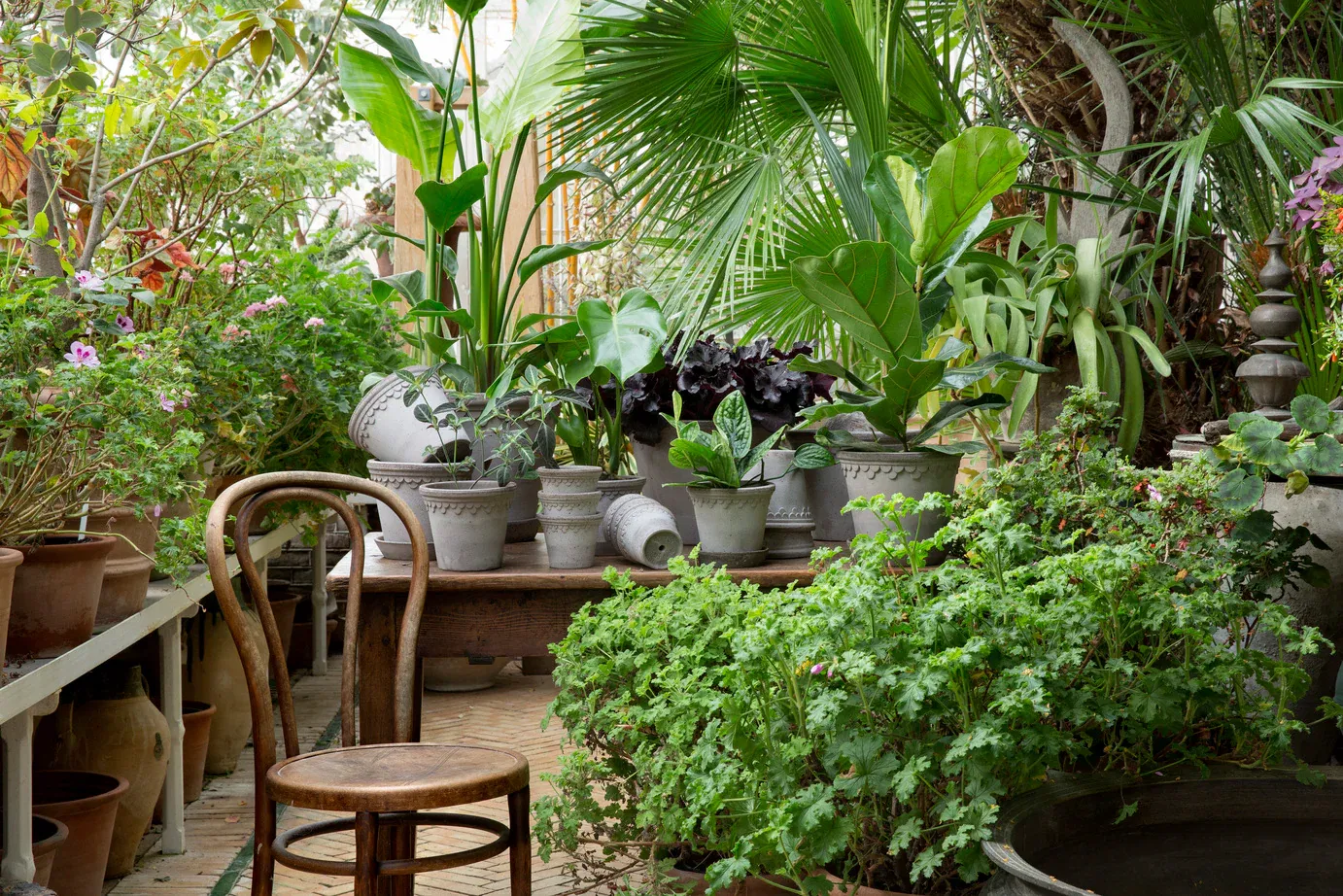 Breathe Life Into Your Home